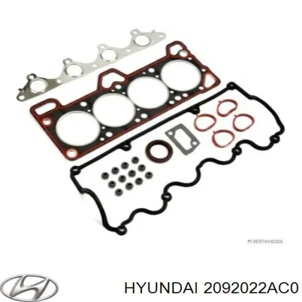 2092022AC0 Hyundai/Kia комплект прокладок двигателя верхний
