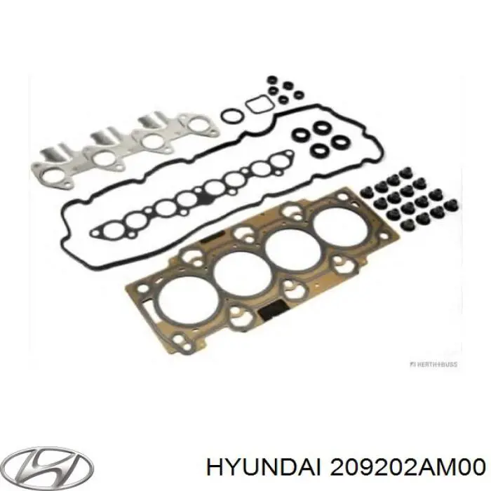 209202AM00 Hyundai/Kia 