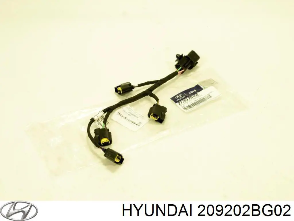 209202BG02 Hyundai/Kia Комплект прокладок двигателя верхний