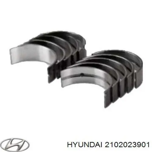 2102023901 Hyundai/Kia вкладыши коленвала коренные, комплект, 1-й ремонт (+0,25)