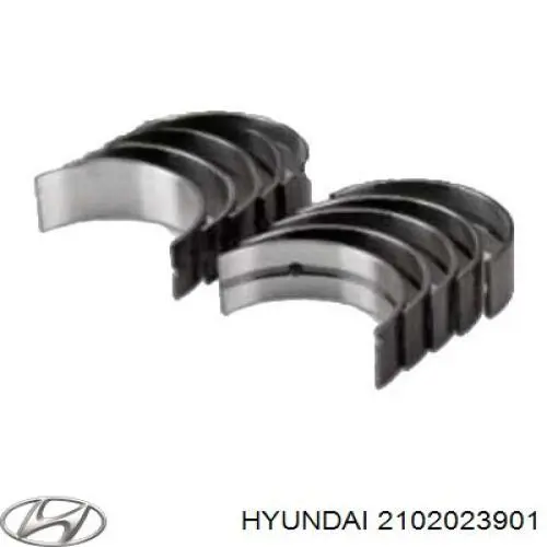 2102023901 Hyundai/Kia folhas inseridas principais de cambota, kit, 1ª reparação ( + 0,25)