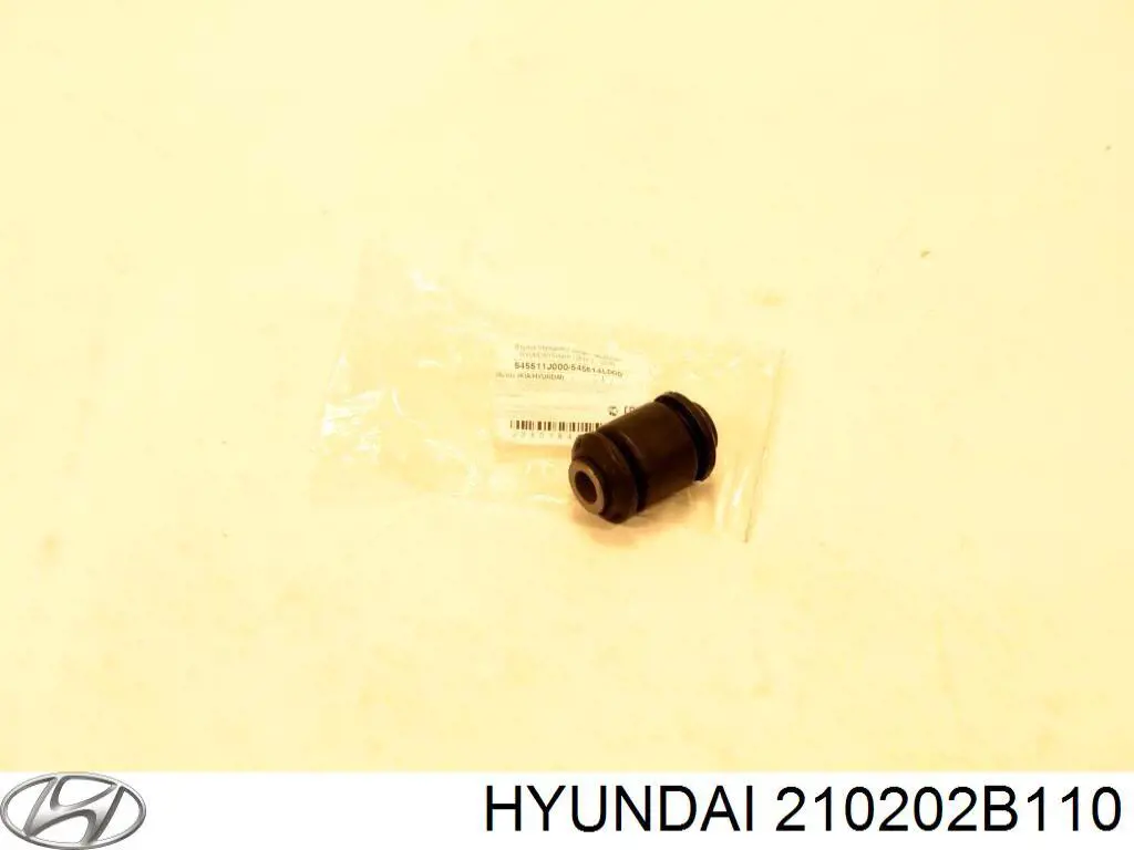 210202B100 Hyundai/Kia 