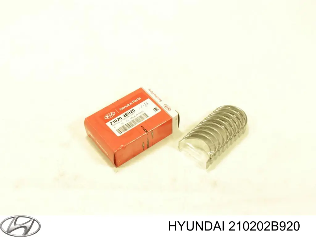 210202B920 Hyundai/Kia 