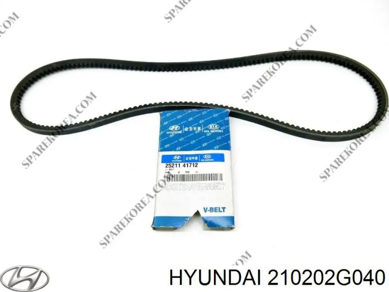 Вкладыши коленвала коренные, комплект, стандарт (STD) 210202G040 Hyundai/Kia