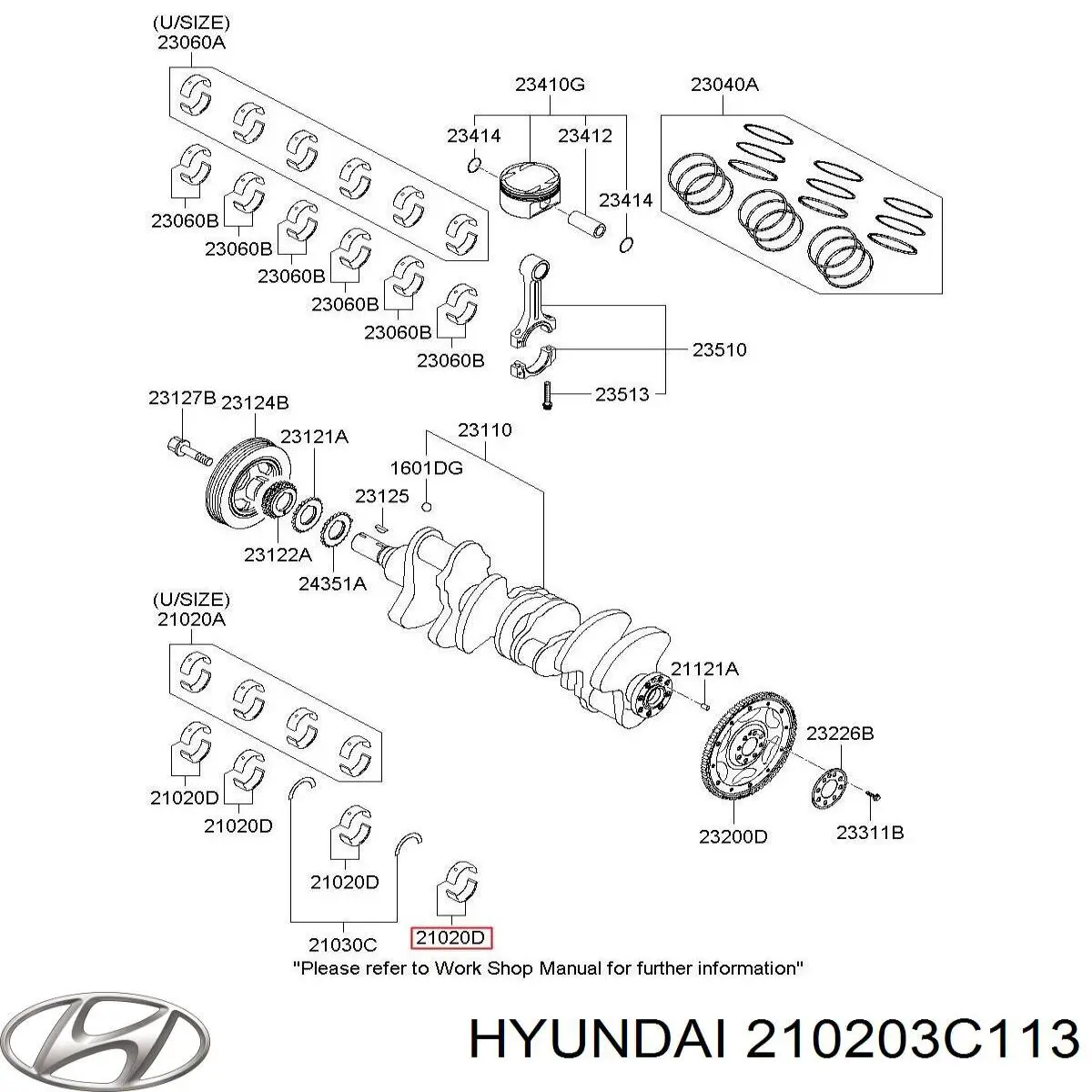  210203C113 Hyundai/Kia