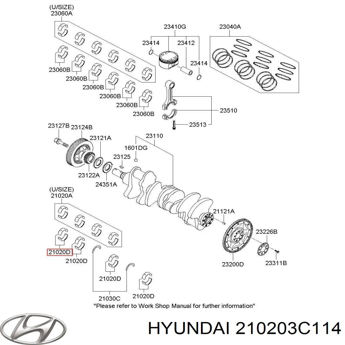 210203C310 Hyundai/Kia folhas inseridas principais de cambota, kit, padrão (std)