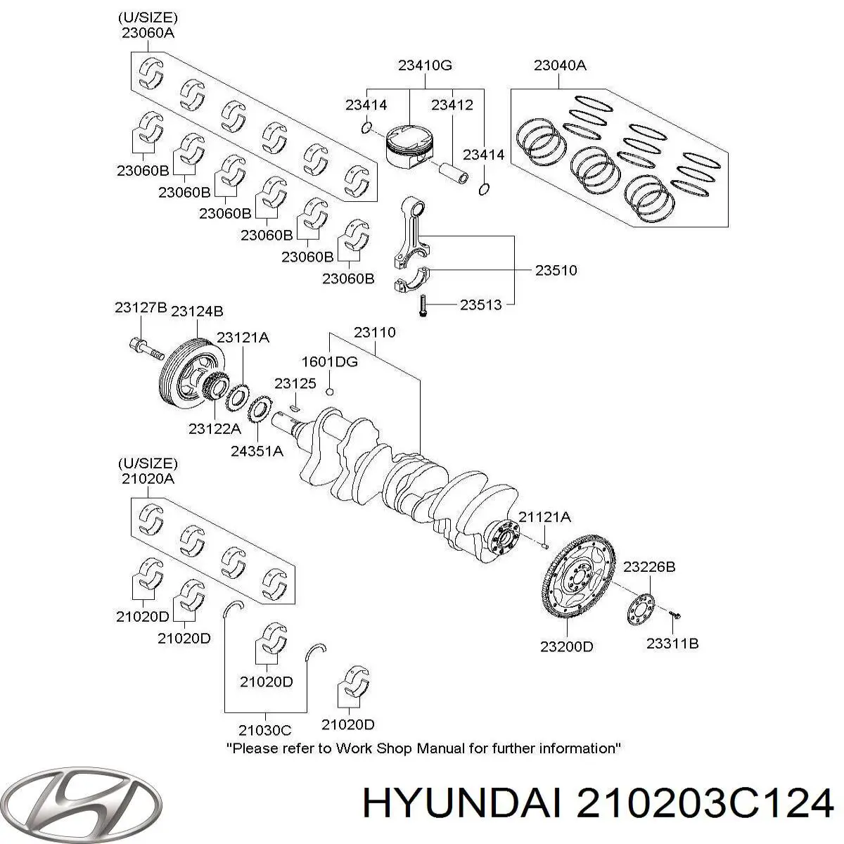 Вкладыши коленвала коренные, стандарт (STD) Hyundai/Kia 210203C124 цена, от 9.97 USD