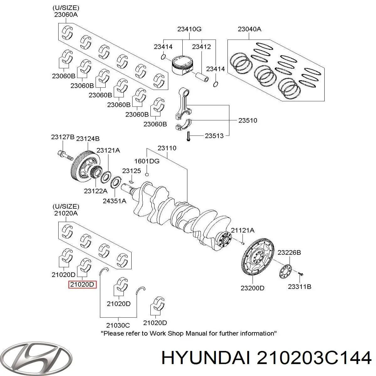 210203C144 Hyundai/Kia folhas inseridas principais de cambota, kit, padrão (std)