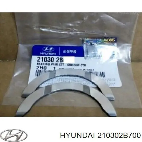 210302B700 Hyundai/Kia 