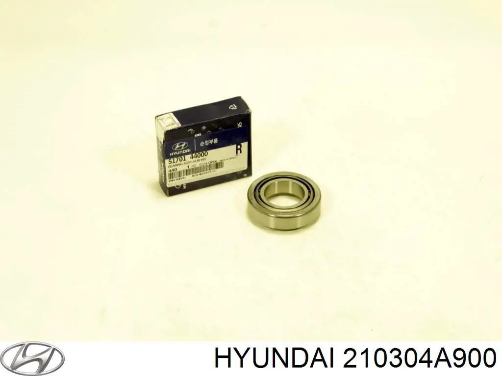  210304A900 Hyundai/Kia