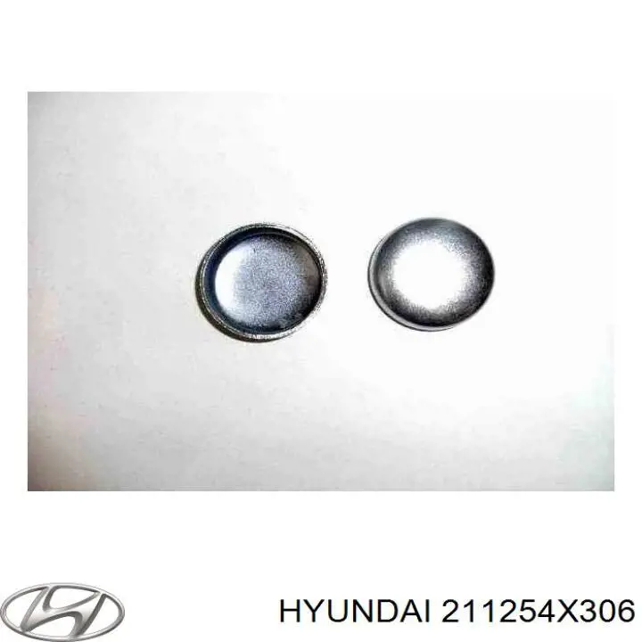 Заглушка блока цилиндров Hyundai/Kia 211254X306