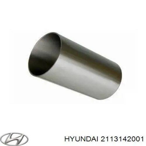 Гильза поршневая на Hyundai Terracan HP