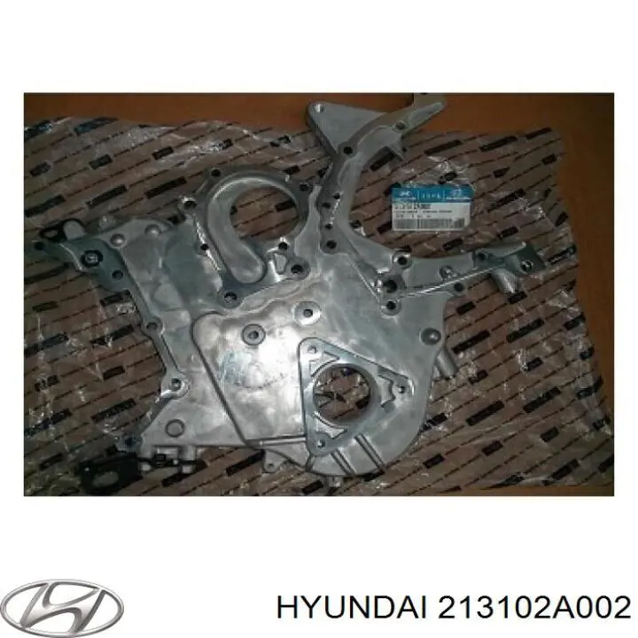  213102A002 Hyundai/Kia