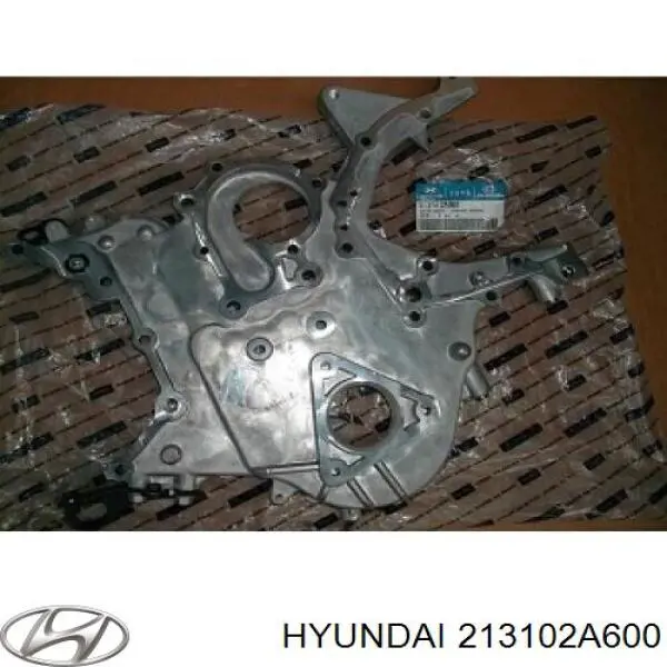 Купить 213102A600 Hyundai/Kia 