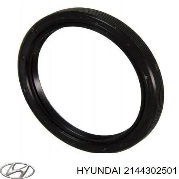 2144302501 Hyundai/Kia сальник коленвала двигателя задний