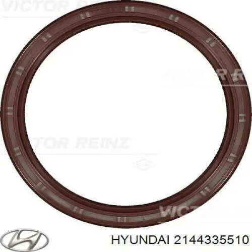 Сальник коленвала задний Hyundai/Kia 2144335510 цена, от 10.44 USD