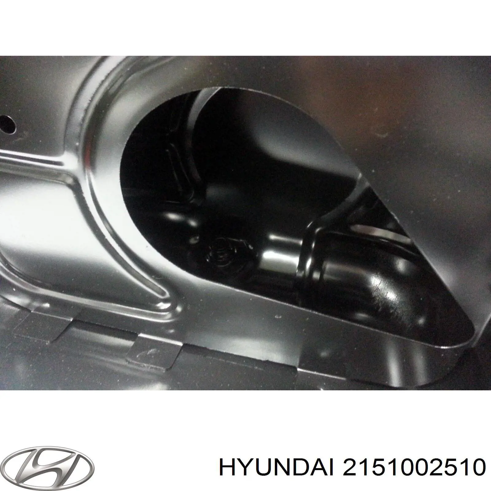 Масляный поддон Hyundai/Kia 2151002510
