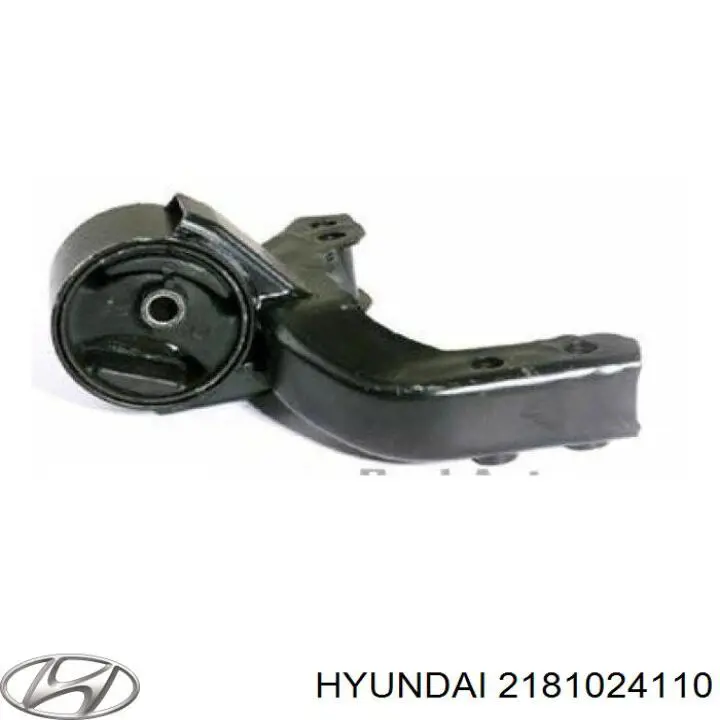  2181024110 Hyundai/Kia