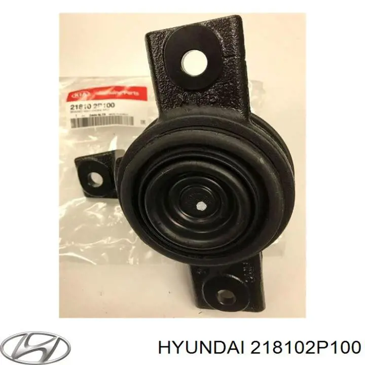 218102P100 Hyundai/Kia