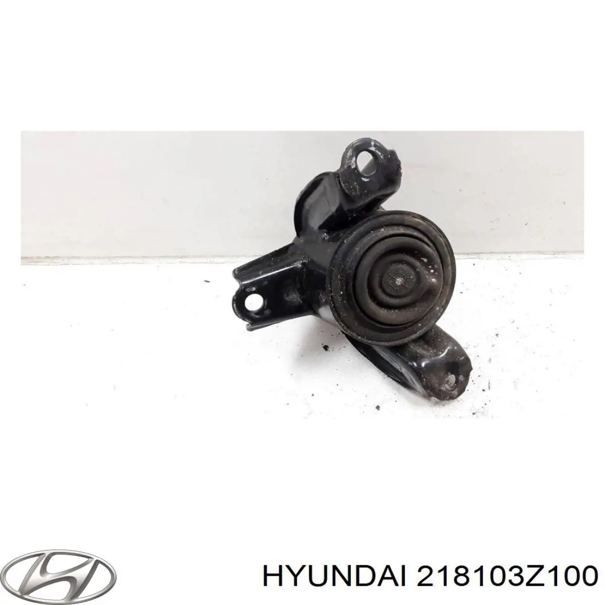  218103Z100 Hyundai/Kia