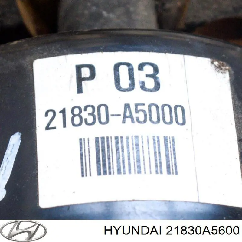  21830A5600 Hyundai/Kia