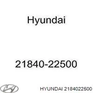 2184022500 Hyundai/Kia подушка (опора двигателя передняя)