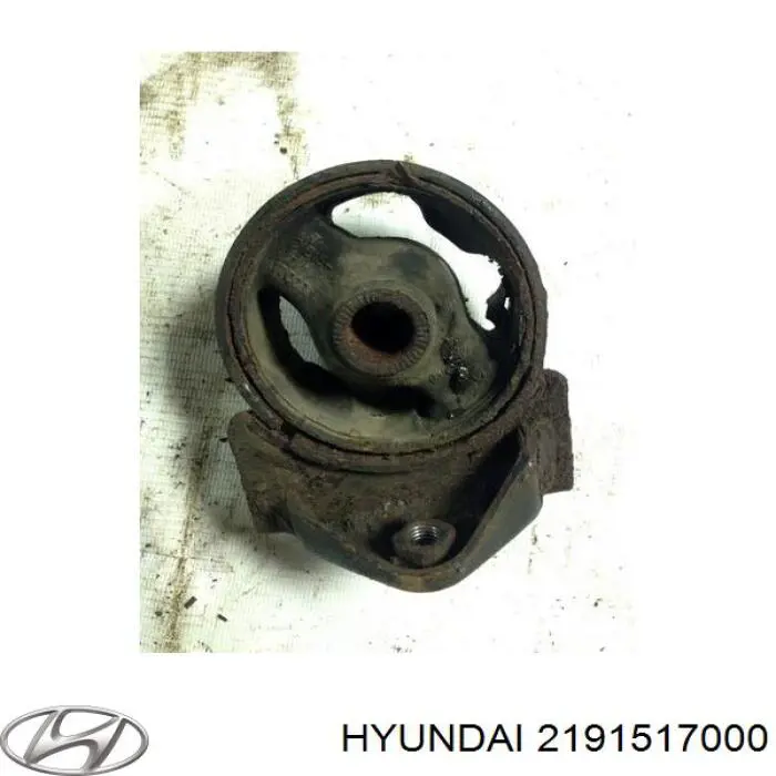  2191517000 Hyundai/Kia