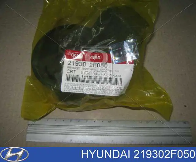 219302F050 Hyundai/Kia coxim (suporte traseiro de motor)