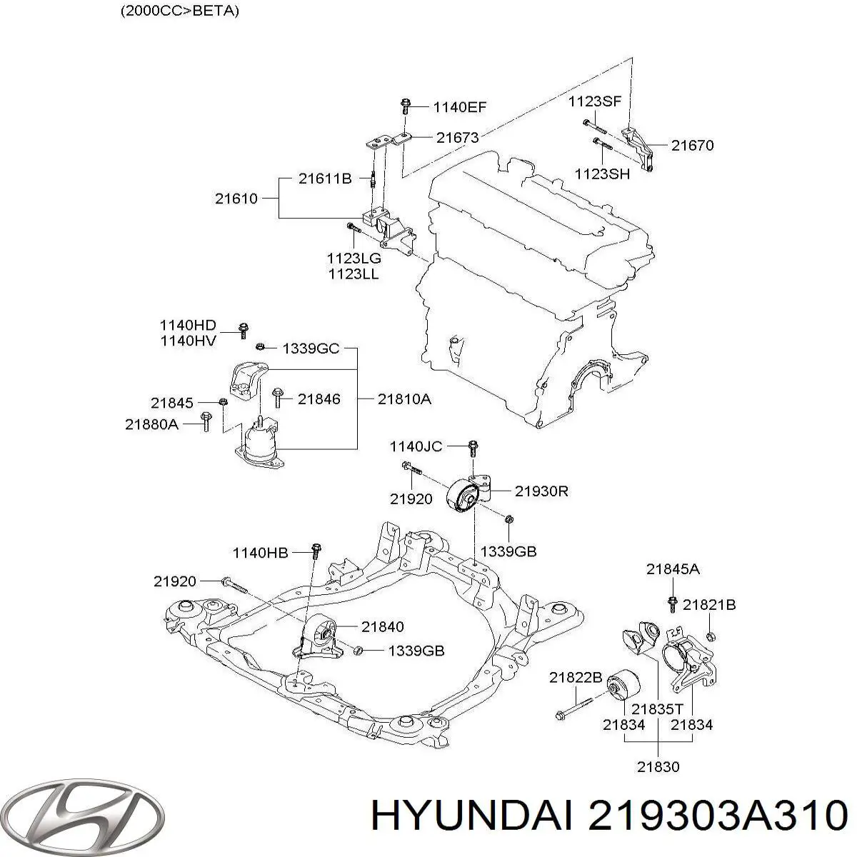 219303A310 Hyundai/Kia 