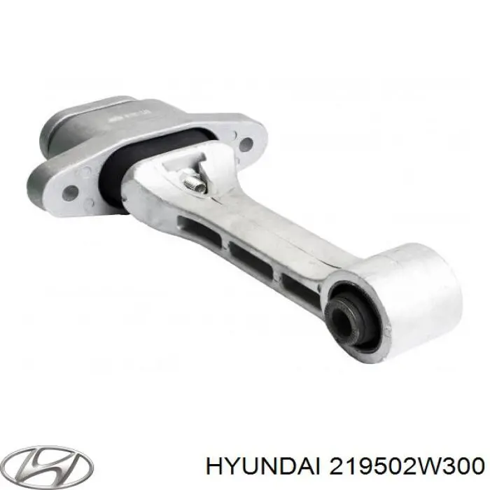219502W300 Hyundai/Kia