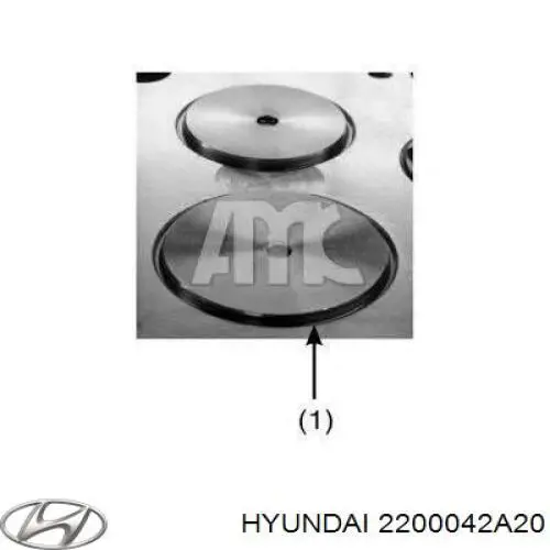 2200042A20 Hyundai/Kia cabeça de motor (cbc)