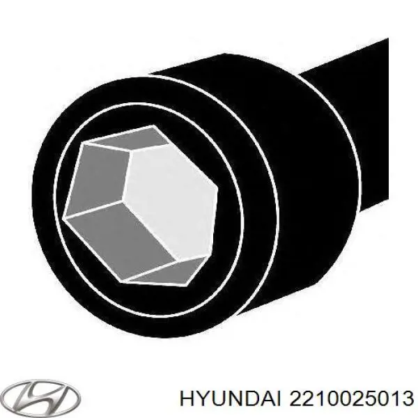 2210025013 Hyundai/Kia головка блока цилиндров (гбц)