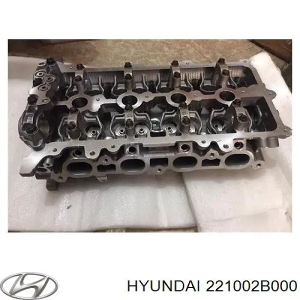 Головка двигателя Hyundai/Kia 221002B001 цена, от 126.69 USD