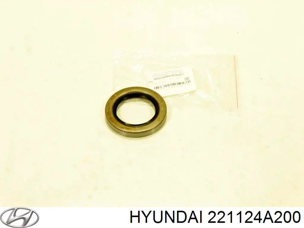  221124A200 Hyundai/Kia