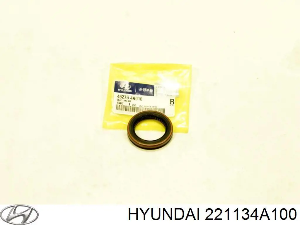  221134A100 Hyundai/Kia