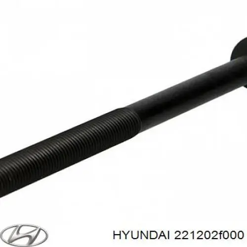 221202F000 Hyundai/Kia 