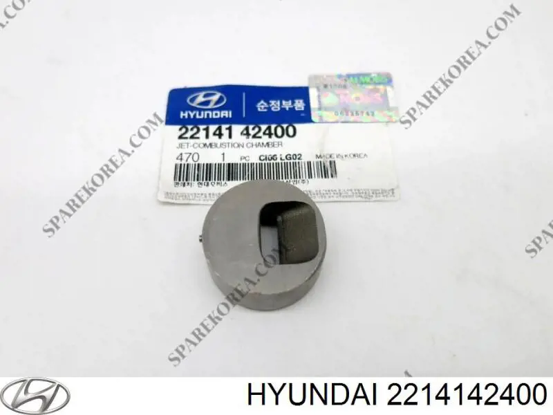  2214142400 Hyundai/Kia