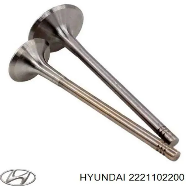 2221102200 Hyundai/Kia válvula de admissão