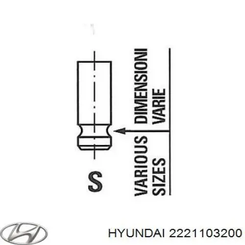 2221103200 Hyundai/Kia válvula de admissão