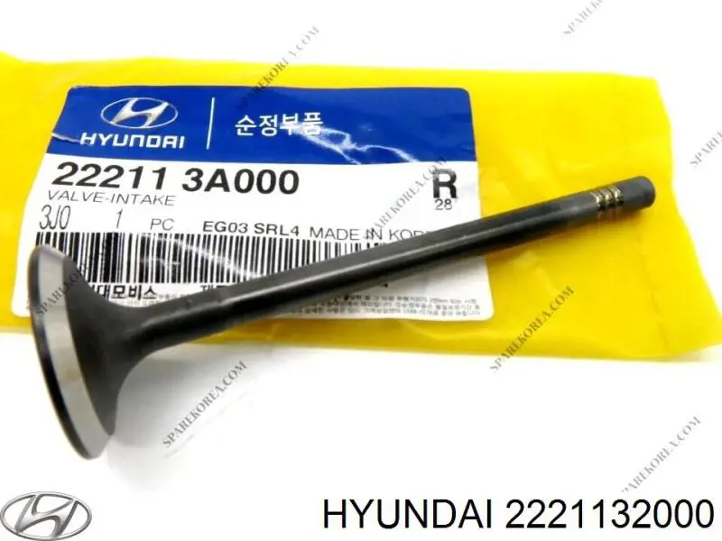  2221132010 Hyundai/Kia