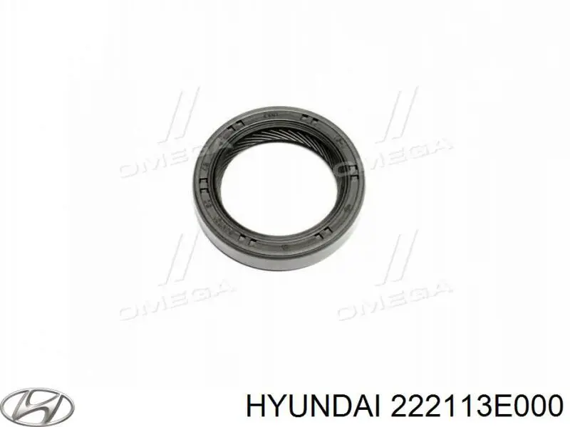 222113E000 Hyundai/Kia válvula de admissão