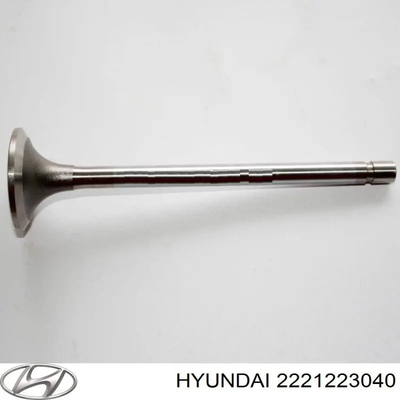 2221223040 Hyundai/Kia