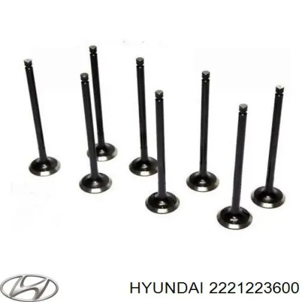 2221223600 Hyundai/Kia