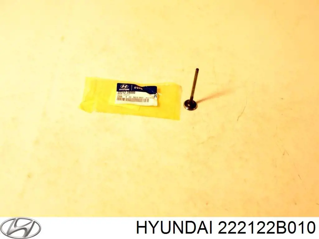 222122B010 Hyundai/Kia Выхлопной клапан