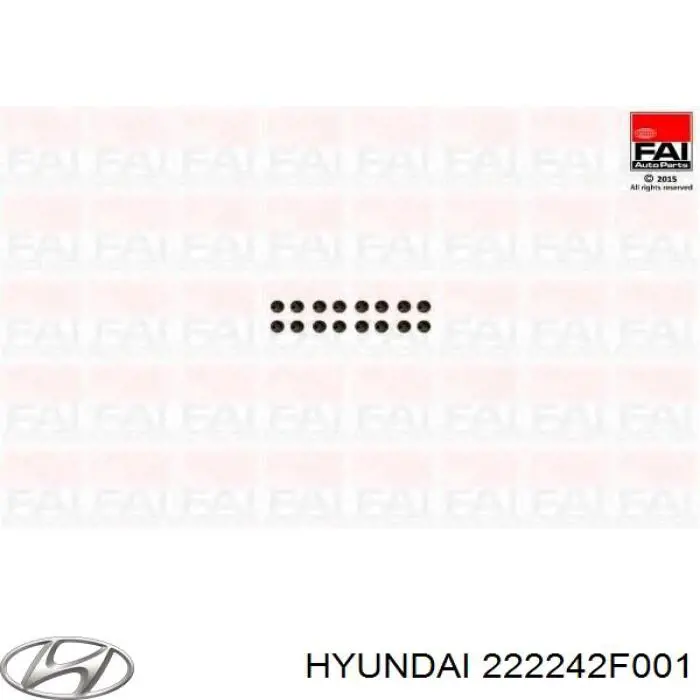 222242F001 Hyundai/Kia bucim de válvula (coletor de óleo, admissão/escape)