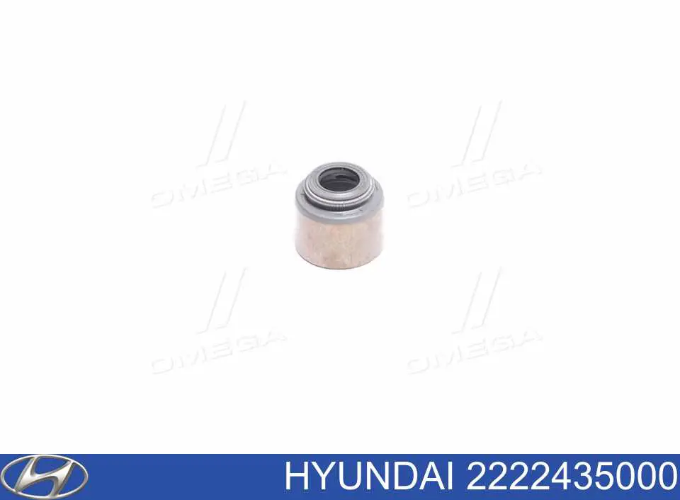 2222435000 Hyundai/Kia сальник клапана (маслосъемный, впуск/выпуск)