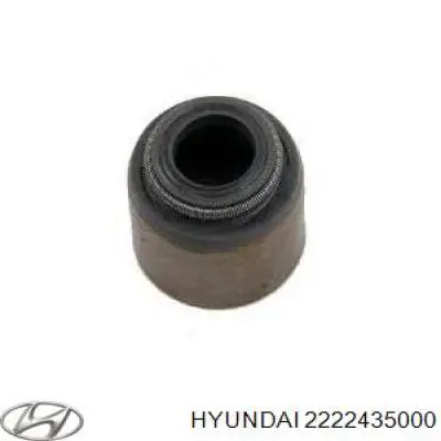 Сальники клапанов 2222435000 Hyundai/Kia