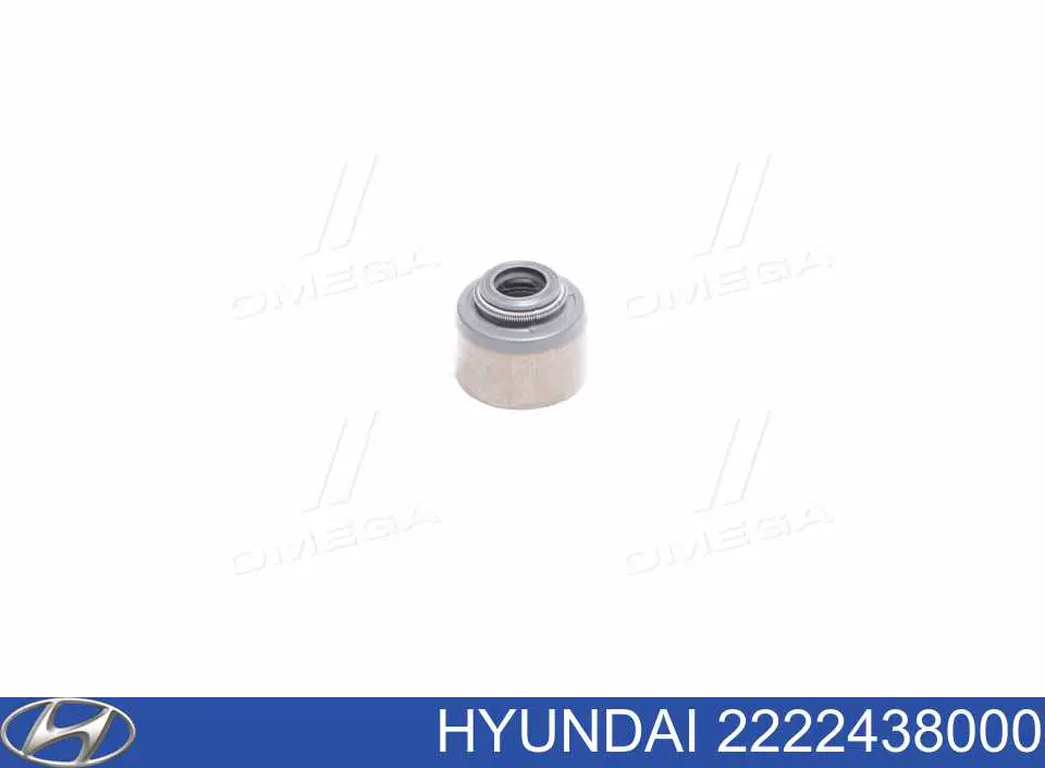 2222438000 Hyundai/Kia сальник клапана (маслосъемный, впуск/выпуск)