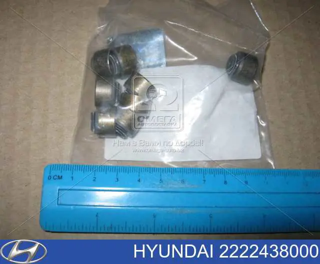 Маслосъемный сальник клапана впуск/выпуск Hyundai/Kia 2222438000 цена, от 1.14 USD