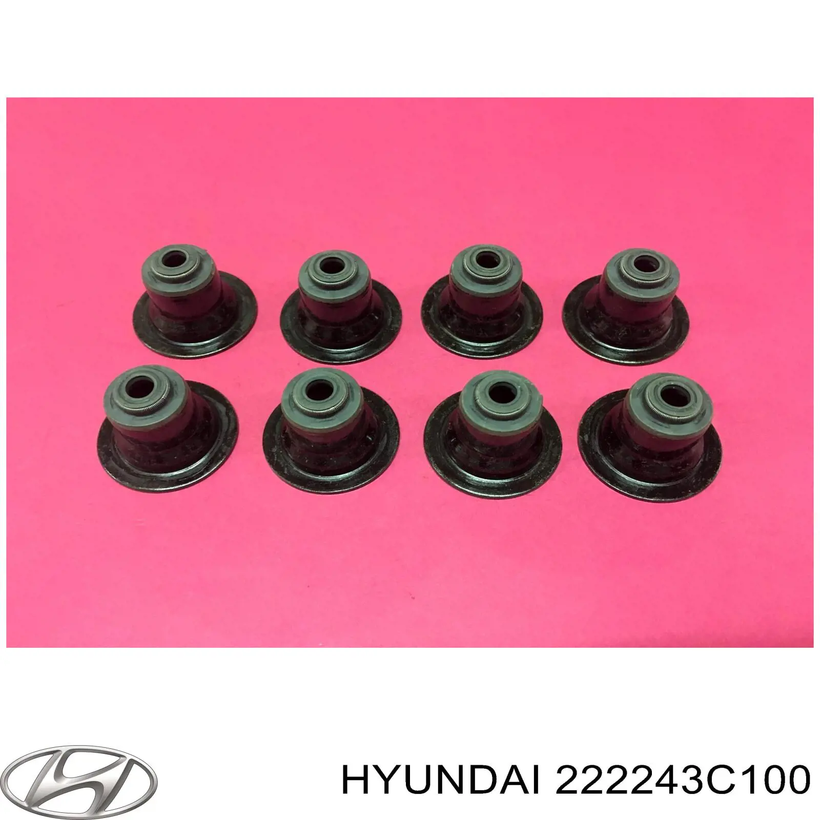 222243CAA0 Hyundai/Kia bucim de válvula (coletor de óleo, admissão/escape)